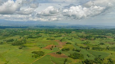 Kırsalda şeker kamışı olan tarım arazilerinin insansız hava aracı. Zenciler, Filipinler