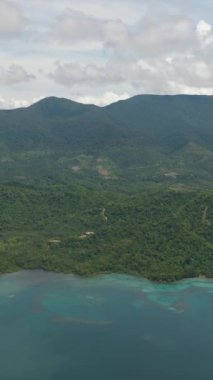 Borneo adasının orman ve yağmur ormanlarıyla dolu kıyılarının insansız hava aracı. Sabah, Malezya. Dikey video.