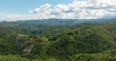 Mountains and hills with vegetation in the tropics. Negros, Philippines