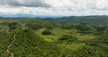 Dağlık bir bölgede yeşil bitki örtüsü olan konik tepelerin insansız hava aracı. Hinakpan Çikolata Tepeleri. Zenciler, Filipinler