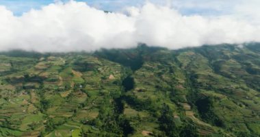 Ziraat ve tarım arazisi yukarıdan Canlaon volkanı yakınlarındaki dağlık bir alanda görünüyor. Zenciler, Filipinler