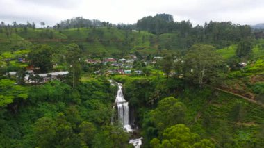 Tropikal manzara: dağlardaki şelale ve çay tarlaları. Vernon Dağı, Sri Lanka.