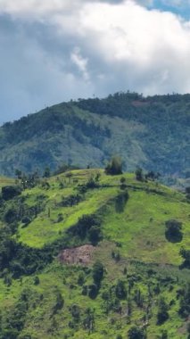 Mountains and hills with vegetation in the tropics. Negros, Philippines