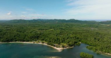 Orman ve yağmur ormanlarıyla kıyı şeridi manzarası. Borneo. Sabah, Malezya.