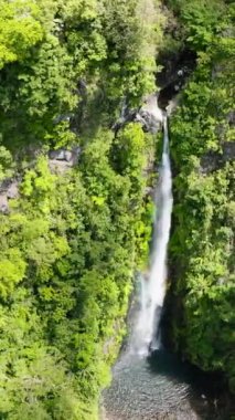 Tropik dağ ormanlarında şelale. Yeşil ormandaki Malatan-og Şelalesi 'nin havadan görüntüsü. Zenciler, Filipinler.