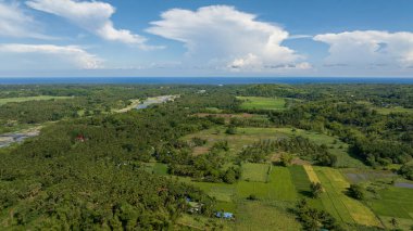 Kırsaldaki tarım arazileri ve pirinç tarlaları. Zenciler, Filipinler