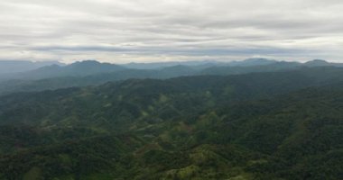 Tropiklerde yeşil ormanı ve ağaçları olan dağların ve tepelerin insansız hava aracı. Sumatra, Endonezya.