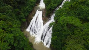 Yağmur ormanları ve bitki örtüsü arasında güzel bir şelale. Diyagalla Ella Şelalesi, Sri Lanka.