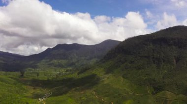Dağlık ilçe manzaralı çay evi. Çay tarlaları. Maskeliya, Sri Lanka.