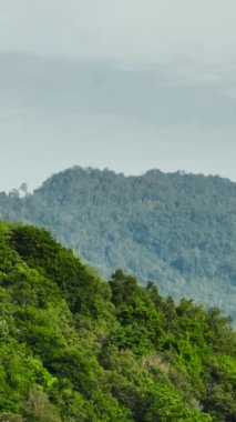 Yağmur ormanları ve bulutları olan dağlar. Tropik bir manzara. Sumatra, Endonezya. Dikey video.