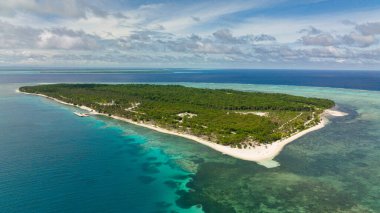 Güzel plajı olan adanın havadan görünüşü, yukarıdan turkuaz su manzaralı palmiye ağaçları. Kumlu Patongong Adası. Balabac, Palawan. Filipinler.