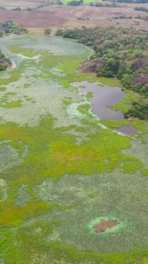 Aerial view of Lakes and swamps in the national park of Sri Lanka.