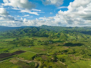 Bir dağ vadisinde ekin yetiştiren tarlalar ve şeker kamışı. Zenciler, Filipinler