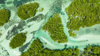 Aerial view of islands in a beautiful lagoon. Tropical landscape. Bantayan island, Philippines. clipart