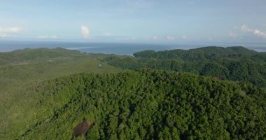 Borneo adasının, tropikal bitki örtüsünün ve ormanın havadan görünüşü. Sabah, Malezya.