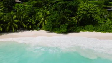 Yeşil yapraklarla çevrili turkuaz sularla birleşen Idyllic beyaz kumsalı. Seyşeller, Mahe. Küçük Anse.
