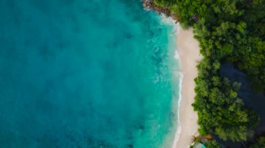 Turkuaz suları ve yemyeşil suları olan el değmemiş bir sahil. Anse Soleil Plajı. Seyşeller, Mahe.