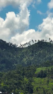 Tropik bitki örtüsü ve palmiye ağaçları olan dağlık bir vilayetteki tepeler. Zenciler, Filipinler