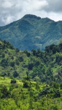 Dağlardan, tepelerden, yeşil bitkilerden ve hurma ağaçlarından oluşan bir tepe... Zenciler, Filipinler