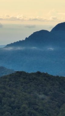 Gün batımında yağmur ormanları ve ormanlı dağlar. Borneo, Sabah, Malezya. Dikey video.