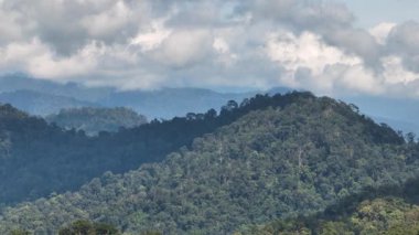 Yağmur ormanlı dağlar. Sumatra. Endonezya.