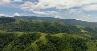 Dağların tepesindeki yağmur ormanları, ağaçlar ve bulutlu mavi gökyüzü. Sumatra, Endonezya.