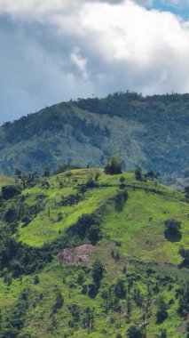 Mountains and hills with vegetation in the tropics. Negros, Philippines