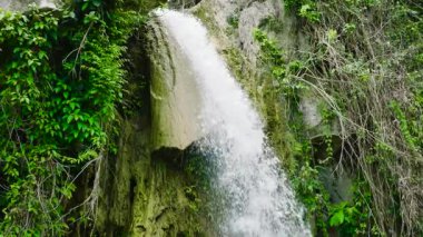 Güzel Şelale 'nin hava aracı yağmur ormanlarında ağır çekimde. Cebu, Filipinler.