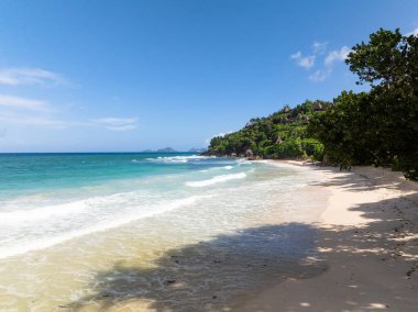 Plaj boyunca uzanan beyaz kumlar berrak, sakin sular ve yemyeşil sularla buluşur. Seyşeller, Mahe. Anse Louis Sahili.