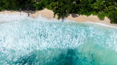 Turkuaz dalgaların hava görüntüsü açık gökyüzünün altında, çevresindeki yeşilliklerle kumlu bir sahile çarpıyor. Seyşeller, Mahe. Anse Takamaka Sahili.