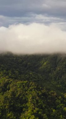 Filipinler 'in dağlık bölgesinde yağmur ormanı ve ormanı olan dağların insansız hava aracı..