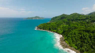 Kıyı şeridini çevreleyen yemyeşil tropik bitkiler ve berrak sular. Seyşeller, Mahe.