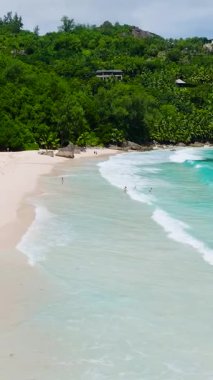 Yeşil yapraklar kumlu bir sahile doğru uzanır ve dalgalar kıyıya vurur. Anse Niyet. Seyşeller, Mahe.