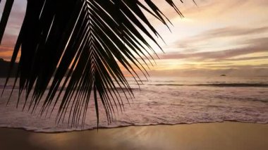 Bir palmiye yaprağının silueti, canlı bir günbatımı sahile ve okyanus dalgalarına sıcak renkler döküyor. Seyşeller, Praslin.
