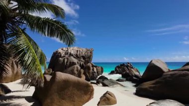 Palmiye yaprakları büyük granit kayalar ve kumlu plajlar etrafında doğal bir çerçeve oluşturur. Anse Patates. Seyşeller, La Digue.