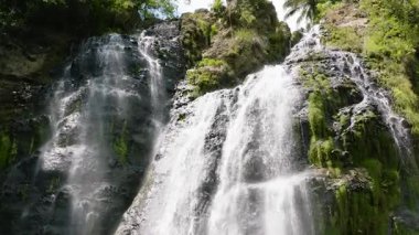 Dağlarda şelale. Ağır çekimde Balea Falls. Zenciler, Filipinler.