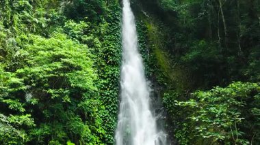 Ormandaki şelale. Ağır çekim. Yağmur ormanındaki Pulang-Tubig Şelalesi. Zenciler, Filipinler.