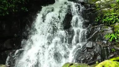 Yavaş çekimde güzel bir şelale. Malisbog Şelalesi. Zenciler, Filipinler.