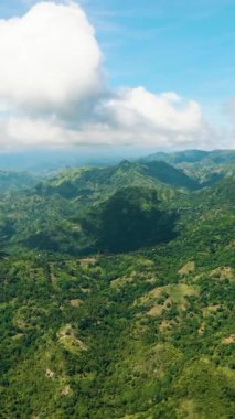 Dağlardaki tropik yeşil orman ve dağlık arazilerdeki orman tepeleri. Zenciler, Filipinler