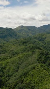 Dağlar ve tepeler yeşil bitki örtüsü ve tropiklerde ağaçlar. Sumatra, Endonezya. Dikey video.