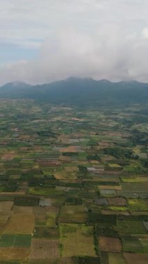 Sumatra 'nın kırsal kesimindeki tarlaların ve tarlaların havadan görünüşü. Berastagi, Endonezya. Dikey video.