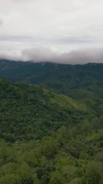 Sumatra, Endonezya 'daki yeşil bitki örtüsü ve ağaçlı dağların havadan görünüşü. Dikey video.