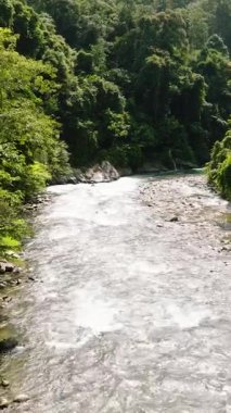 Yağmur ormanlarında nehrin insansız hava aracı. Sumatra 'da orman. Bukit Lawang. Endonezya 'da. Dikey video.
