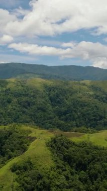 Dağların tepesindeki yağmur ormanları, ağaçlar ve bulutlu mavi gökyüzü. Sumatra, Endonezya. Dikey video.