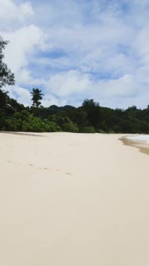Kıyısında palmiye ağaçları olan el değmemiş kumlu sahil, dalgalar yavaşça kıyıya vuruyor. Seyşeller, Mahe. Anse Niyet.