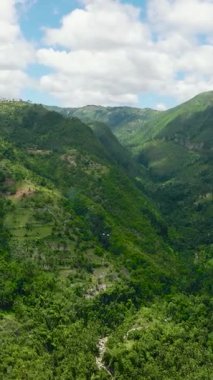 Yağmur ormanları ve tarım arazisi olan dağ yamaçlarının en üst manzarası. Cebu Adası, Filipinler.