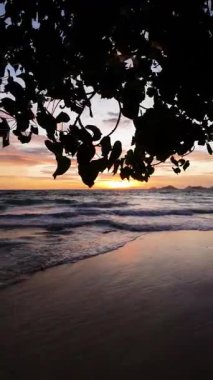 Dalgalar yavaşça kıyıya ulaşırken günbatımı, ağaç yapraklarının siluetleriyle çerçevelenmiş sıcak renklerle gökyüzünü boyuyor. Seyşeller, Mahe.