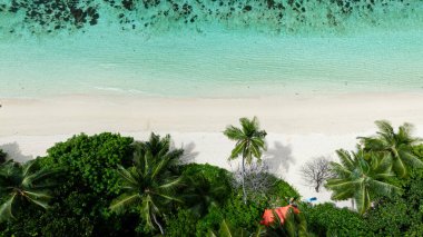 Turkuaz suların, beyaz kumların ve yemyeşil çimlerin bulunduğu el değmemiş bir sahil şeridi. Anse Forbans. Seyşeller, Mahe.