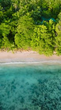 Turkuaz suları olan el değmemiş bir sahil manzarası. Seyşeller, Mahe.