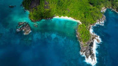 Berrak turkuaz sular yemyeşil ve kayalık kıyı şeritleriyle çevrili küçük bir körfezi kuşatır. Seyşeller, Mahe.